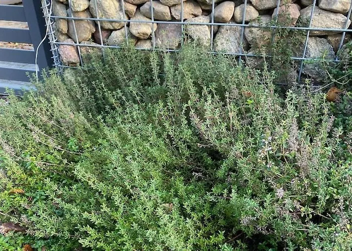 Сasa de vacaciones By Wise Ka With Sauna Wisełka